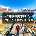 破例给老美木材“开绿灯”？无视WTO规则，多国：准备联手“亮剑”（图2）