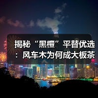 揭秘“黑檀”平替优选:风车木为何成大板茶桌高端材质新宠?(图3) 揭秘“黑檀”平替优选:风车木为何成大板茶桌高端材质新宠?(图3)