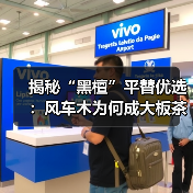 揭秘“黑檀”平替优选:风车木为何成大板茶桌高端材质新宠?(图2) 揭秘“黑檀”平替优选:风车木为何成大板茶桌高端材质新宠?(图2)