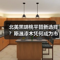 北美黑胡桃平替新选择?斯温漆木凭何成为市场新宠(图2) 北美黑胡桃平替新选择?斯温漆木凭何成为市场新宠(图2)