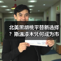 北美黑胡桃平替新选择？斯温漆木凭何成为市场新宠
