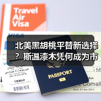 北美黑胡桃平替新选择?斯温漆木凭何成为市场新宠(图3) 北美黑胡桃平替新选择?斯温漆木凭何成为市场新宠(图3)