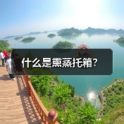 什么是熏蒸托箱?(图4) 什么是熏蒸托箱?(图4)