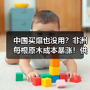 中国买爆也没用?非洲每根原木成本暴涨!供应链危机隐现(图3) 中国买爆也没用?非洲每根原木成本暴涨!供应链危机隐现(图3)