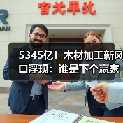 5345亿！木材加工新风口浮现：谁是下个赢家？亚太霸榜，欧洲狂飙（图2）