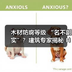 木材防腐等级 “名不副实”?建筑专家揭秘 H3 失效背后的设计危机(图3) 木材防腐等级 “名不副实”?建筑专家揭秘 H3 失效背后的设计危机(图3)