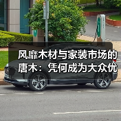 风靡木材与家装市场的唐木:凭何成为大众优选材种?(图3) 风靡木材与家装市场的唐木:凭何成为大众优选材种?(图3)