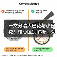 一文分清大巴花与小巴花！核心区别解析，采购避坑必看（图3）