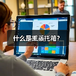 什么是熏蒸托箱？（图3）