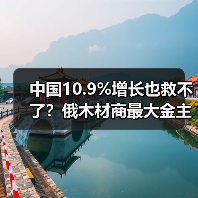 中国10.9%增长也救不了？俄木材商最大金主市场正被“低价抢占”！（图2）
