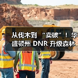 从伐木到 “卖碳”！华盛顿州 DNR 升级森林管理，7.7 万英亩老林分迎永久保护（图3）