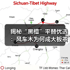 揭秘“黑檀”平替优选：风车木为何成大板茶桌高端材质新宠？（图4）