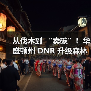 从伐木到 “卖碳”！华盛顿州 DNR 升级森林管理，7.7 万英亩老林分迎永久保护（图4）