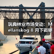 瑞典林业市场变动：Mellanskog 8 月下调硬木纸浆木、薪材底价