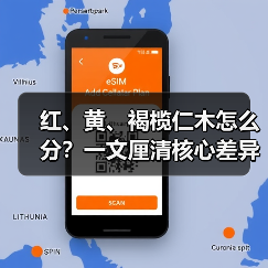 红、黄、褐榄仁木怎么分?一文厘清核心差异与应用边界(图2) 红、黄、褐榄仁木怎么分?一文厘清核心差异与应用边界(图2)