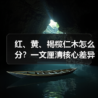 红、黄、褐榄仁木怎么分？一文厘清核心差异与应用边界（图2）