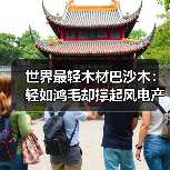 世界最轻木材巴沙木：轻如鸿毛却撑起风电产业半边天（图3）