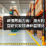 碳信用新方向：澳大利亚研究发现造林管理比保护更能固碳（图4）