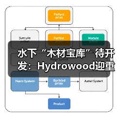 水下“木材宝库”待开发:Hydrowood迎重大投资,塔斯马尼亚区域就业链将受益(图3) 水下“木材宝库”待开发:Hydrowood迎重大投资,塔斯马尼亚区域就业链将受益(图3)