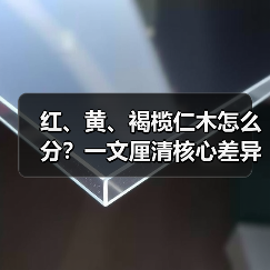 红、黄、褐榄仁木怎么分？一文厘清核心差异与应用边界