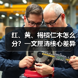 红、黄、褐榄仁木怎么分？一文厘清核心差异与应用边界（图3）