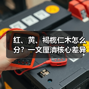 红、黄、褐榄仁木怎么分？一文厘清核心差异与应用边界（图4）