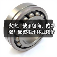 火灾、缺承包商、成本涨!密歇根州林业陷多重困境,1200万投资难抵损失(图2) 火灾、缺承包商、成本涨!密歇根州林业陷多重困境,1200万投资难抵损失(图2)