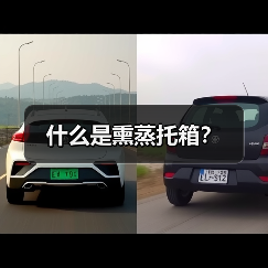 什么是熏蒸托箱？