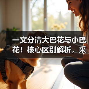 一文分清大巴花与小巴花!核心区别解析,采购避坑必看(图4) 一文分清大巴花与小巴花!核心区别解析,采购避坑必看(图4)