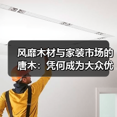 风靡木材与家装市场的唐木：凭何成为大众优选材种？（图3）