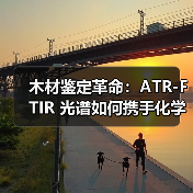 木材鉴定革命：ATR-FTIR 光谱如何携手化学计量学筑牢行业诚信防线？