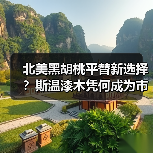 北美黑胡桃平替新选择?斯温漆木凭何成为市场新宠(图4) 北美黑胡桃平替新选择?斯温漆木凭何成为市场新宠(图4)