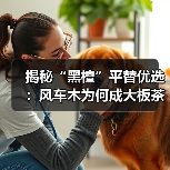 揭秘“黑檀”平替优选：风车木为何成大板茶桌高端材质新宠？