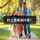 什么是熏蒸托箱?(图3) 什么是熏蒸托箱?(图3)