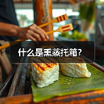什么是熏蒸托箱?(图4) 什么是熏蒸托箱?(图4)