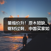 量缩价升！原木短缺、锯材过剩，中国买家如何破局？（图3）