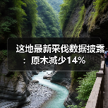 这地最新采伐数据披露：原木减少14%（图3）