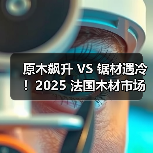 原木飙升 VS 锯材遇冷！2025 法国木材市场格局重塑，木结构建筑需求成亮点（图3）