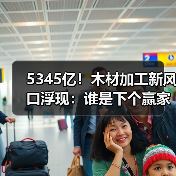 5345亿！木材加工新风口浮现：谁是下个赢家？亚太霸榜，欧洲狂飙（图3）