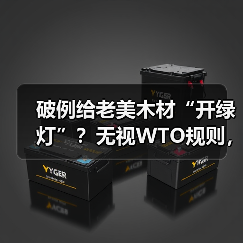 破例给老美木材“开绿灯”？无视WTO规则，多国：准备联手“亮剑”（图3）