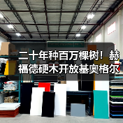二十年种百万棵树！赫福德硬木开放基奥格尔种植园，议员、农民共庆林业里程碑（图2）