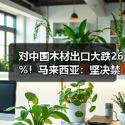 对中国木材出口大跌26%！马来西亚：坚决禁止原木出口（图3）