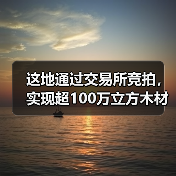 这地通过交易所竞拍，实现超100万立方木材销售！
