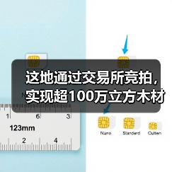 这地通过交易所竞拍，实现超100万立方木材销售！（图3）