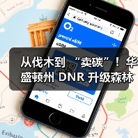 从伐木到 “卖碳”！华盛顿州 DNR 升级森林管理，7.7 万英亩老林分迎永久保护（图2）
