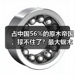 占中国56%的原木帝国，撑不住了？最大锯木厂宣告关闭！（图3）