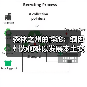 森林之州的悖论：缅因州为何难以发展本土交叉层压木材产业？（图4）