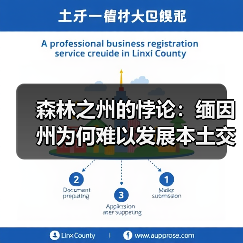 森林之州的悖论：缅因州为何难以发展本土交叉层压木材产业？（图3）