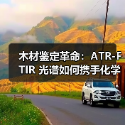 木材鉴定革命:ATR-FTIR 光谱如何携手化学计量学筑牢行业诚信防线?(图2) 木材鉴定革命:ATR-FTIR 光谱如何携手化学计量学筑牢行业诚信防线?(图2)