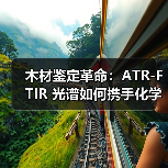 木材鉴定革命:ATR-FTIR 光谱如何携手化学计量学筑牢行业诚信防线?(图3) 木材鉴定革命:ATR-FTIR 光谱如何携手化学计量学筑牢行业诚信防线?(图3)